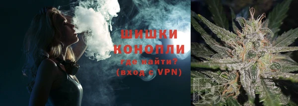 PSILOCYBIN Балабаново