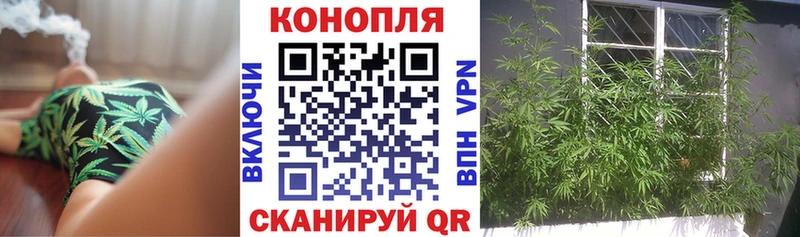 Каннабис конопля  Костерёво 